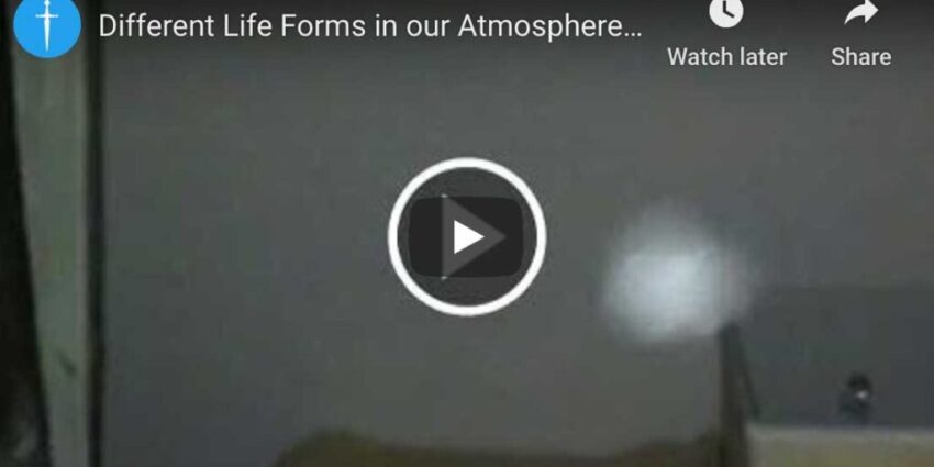 Different Life Forms in Our Atmosphere