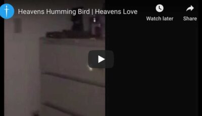 heavens-hummingbird