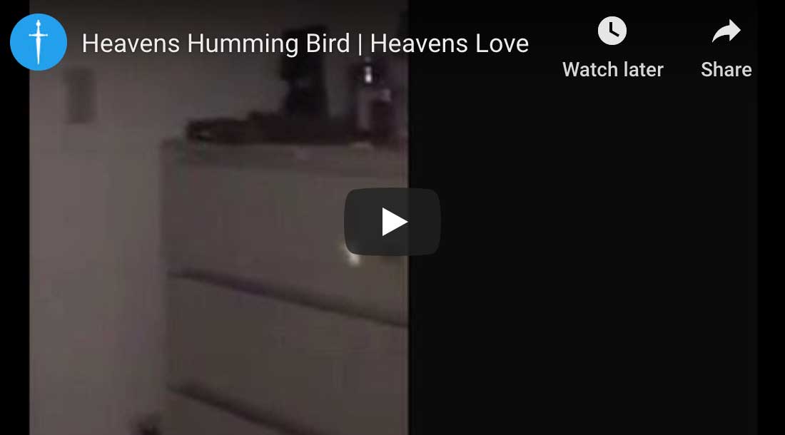 heavens-hummingbird